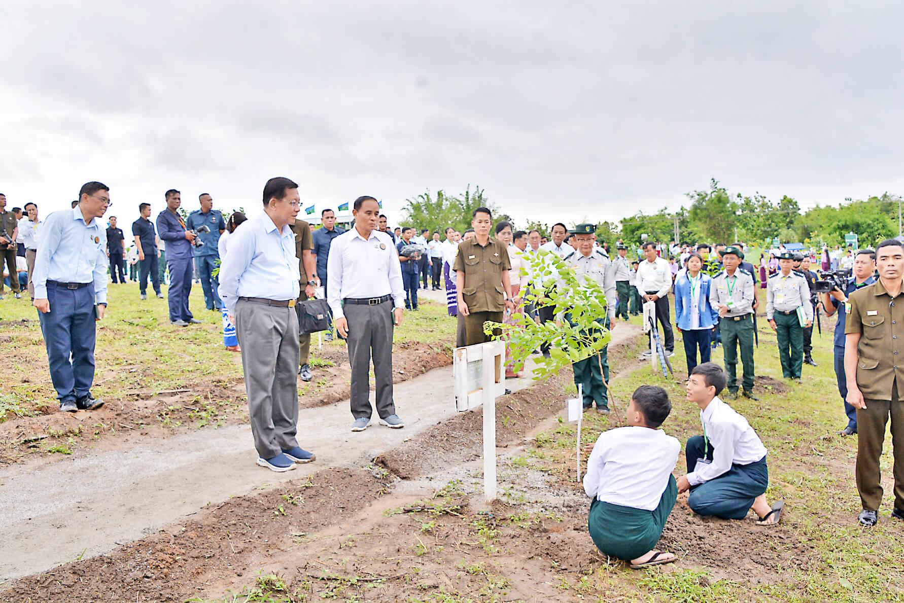 Myanmar to plant over 21 million trees during 2026 rainy season